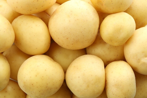 Tasty young potato on whole background, close up