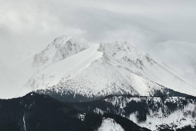 Tatra berg bedekt met sneeuw