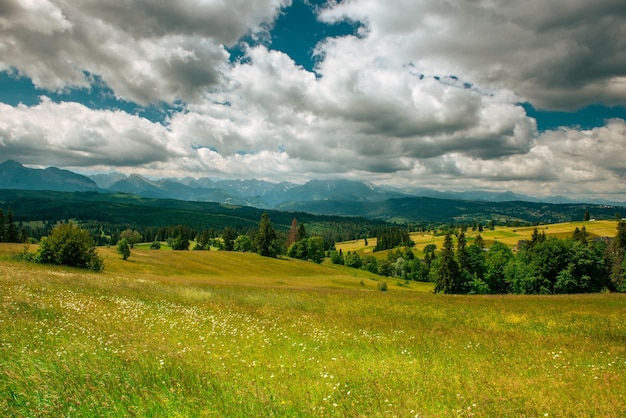 Photo tatra mountains landscape lush green meadows and trees at summer