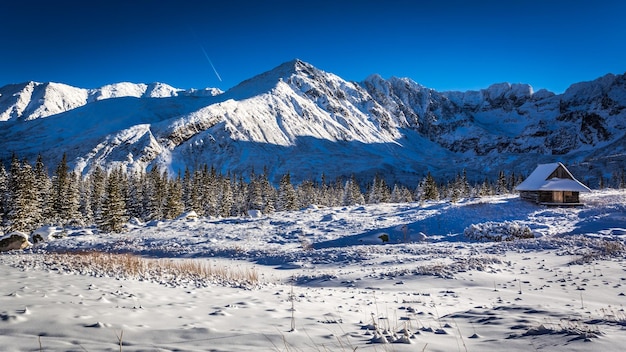 Tatra mountains and little cottages in the winter