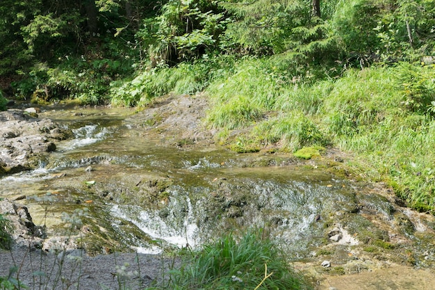 タトラ山脈 山の川の滝の眺め