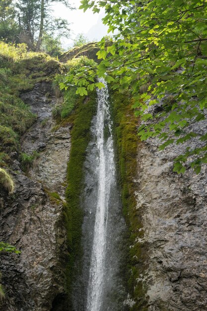 Татры Вид на водопад горной реки в горах