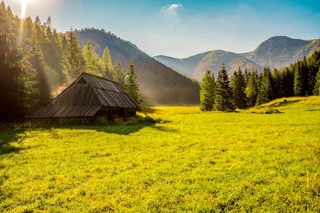 Tatra Nationaal Park in Polen Tatra gebergte panorama Polen kleurrijke bloemen en huisjes in Gasienicowa vallei Hala Gasienicowa Wandelen in de natuur in de buurt van Kasprowy Wierch