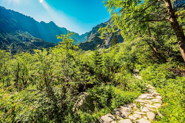 Tatra National Park in Poland Famous mountains lake Morskie oko or sea eye lake In High Tatras Five lakes valley