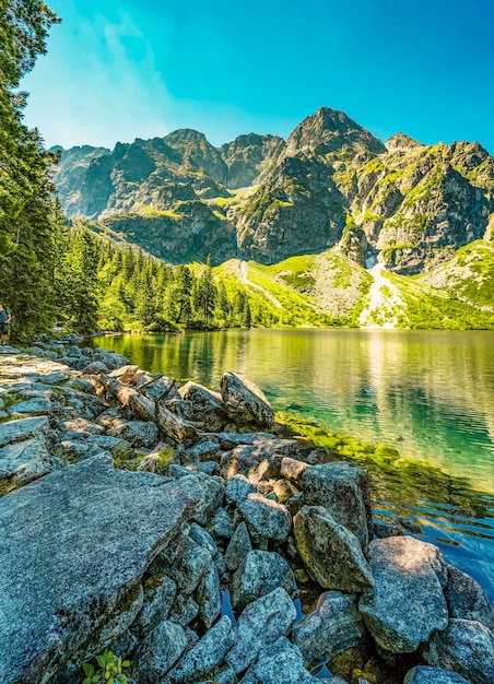 ポーランドのタトラ国立公園 有名な山湖 Morskie oko またはハイ タトラの海の目湖 5 つの湖の谷