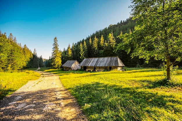 Tatra National Park in Poland Tatra mountains panorama Poland colorful flowers and cottages in Gasienicowa valley Hala Gasienicowa Hiking in nature near Kasprowy Wierch