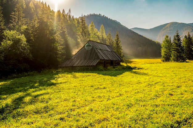 Tatra National Park in Poland Tatra mountains panorama Poland colorful flowers and cottages in Gasienicowa valley Hala Gasienicowa Hiking in nature near Kasprowy Wierch