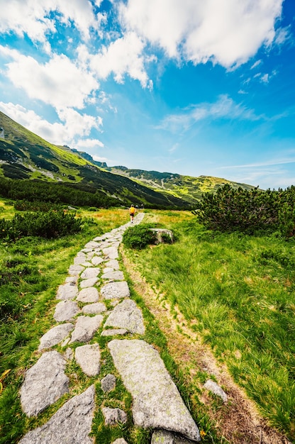 Parco nazionale dei tatra in polonia panorama dei monti tatra polonia fiori colorati e cottage nella valle di gasienicowa hala gasienicowa zielony staw gasienicowy