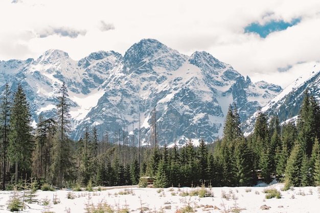 Tatragebergte Winters aanblik van het Hoge Tatragebergte Berg winterlandschap tatry