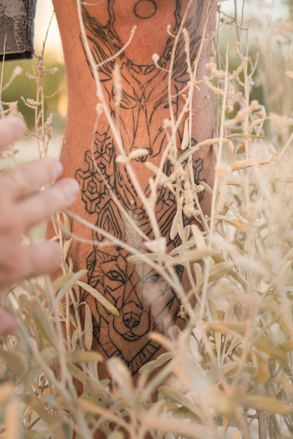 사진 덤불 에 있는 동물 들 을 보여 주는 문신 된 남자 의 다리