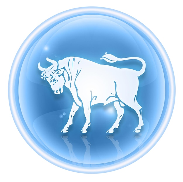 Taurus zodiac icon ice