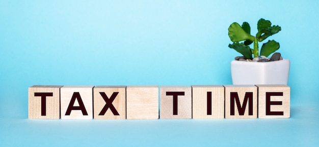 TAX TIME is written on wooden cubes near a flower in a pot on a light blue background