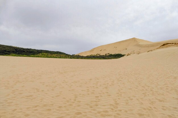 Te Paki Sand Dunes