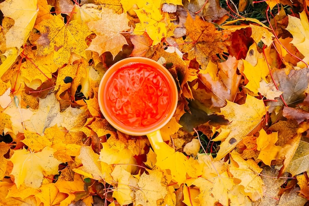 Tea and autumn leaves