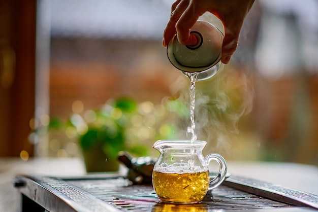 Процесс заваривания чая, чайная церемония, чашка свежесваренного зеленого чая улун, теплый мягкий свет. Мягкий фокус.