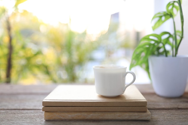 Tea cup and brown kraft notebooks and Window Monstera obliqua leaf plant