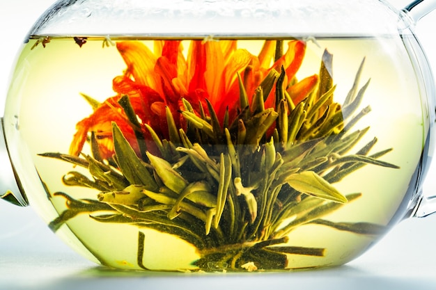 Tea Flower in a Clear Teapot