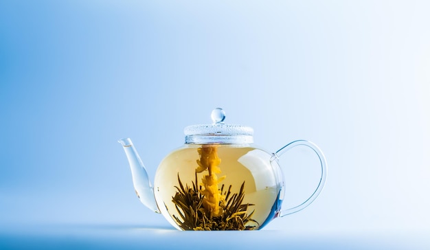 Tea Flower in a Clear Teapot