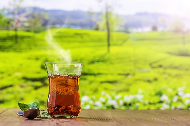 Photo tea in a glass cup