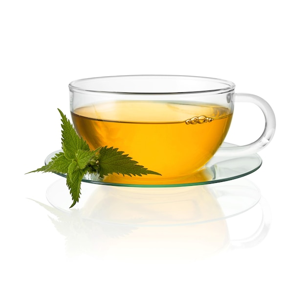 Tea glass with nettle leaf hot drink medicinal plant isolated on white background with reflection