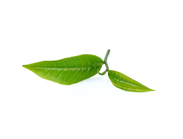 Tea leaf isolated on white