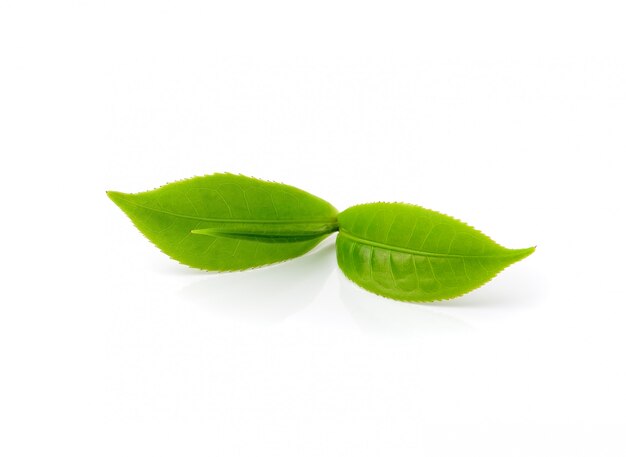 Tea leaf isolated on white