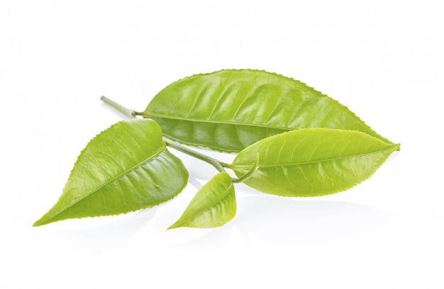 Tea leaf on white background