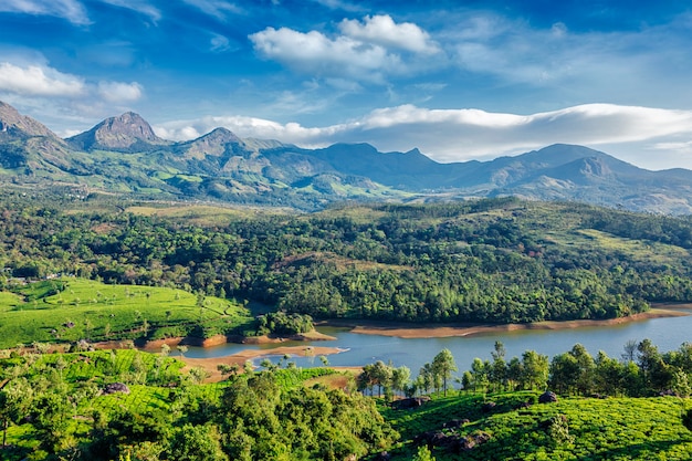 Piantagioni di tè e fiume in collina. kerala, india