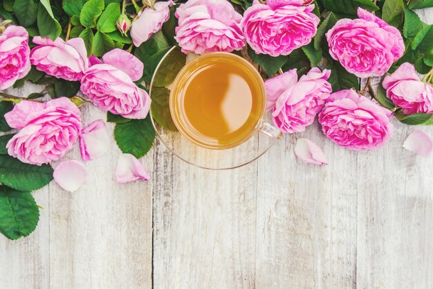 Tea, tea rose, rose, Selective focus. nature.