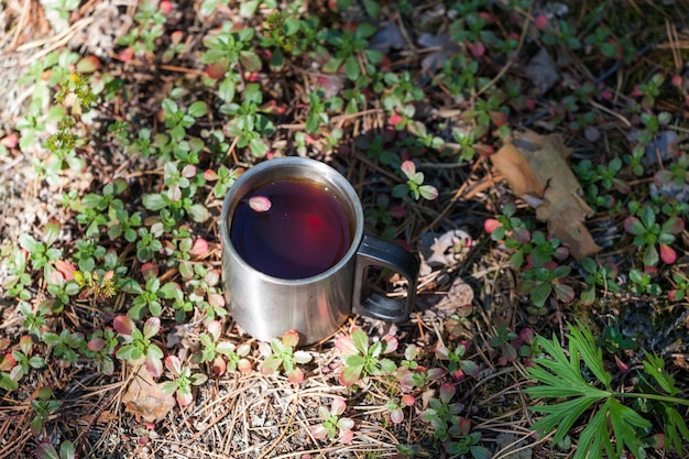 Tea in a tourist mug in the wild in the taiga