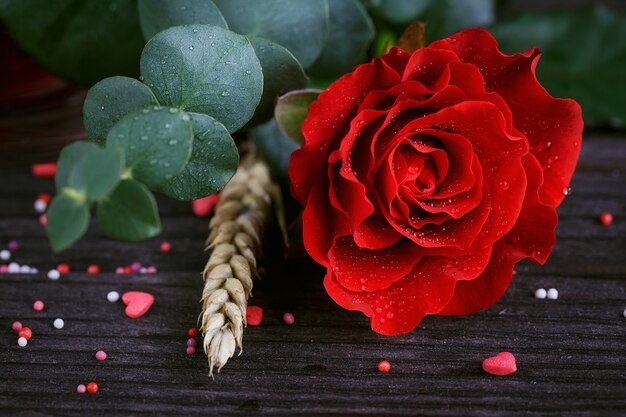 Tea in a transparent cup, color candies and a red rose on dark