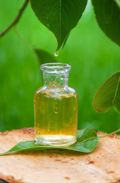 Foto olio essenziale di albero del tè in bottiglia natura di messa a fuoco selettiva