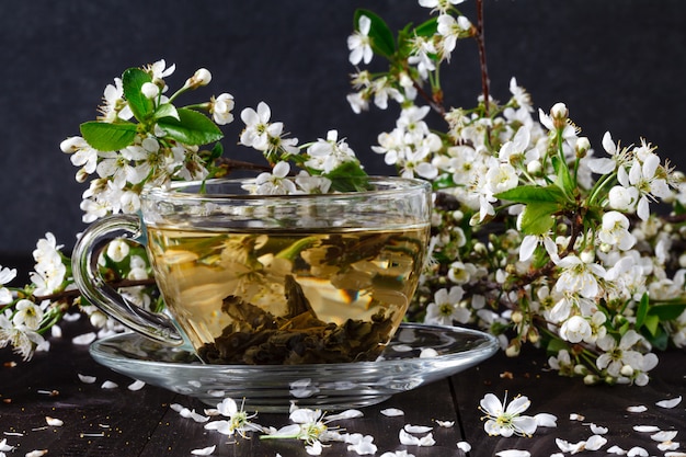 Tea with apricot flowers and branches