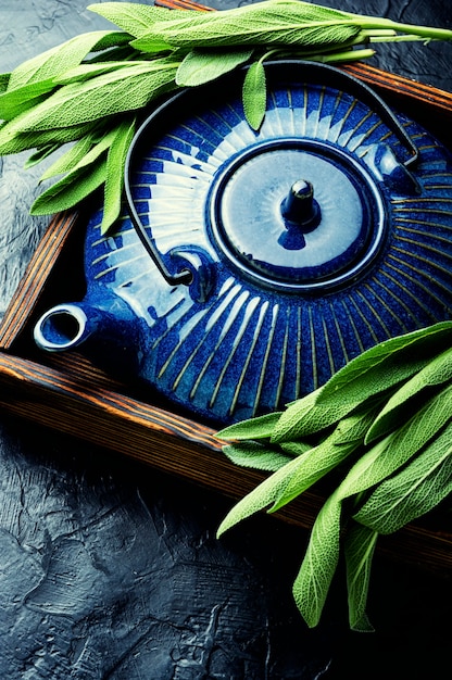 Tea with fragrant leaves of fresh sage. Salvia and herbal medicine.