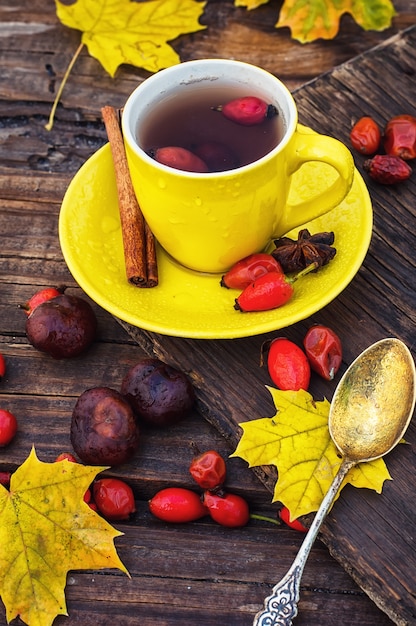 Tea with fruits of dog-rose