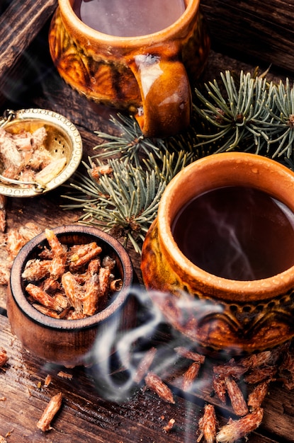 Tea with pine buds