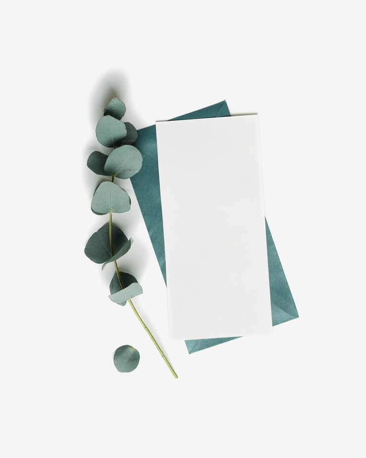 Teal envelope and empty paper card mock up with green plant eucalyptus on white background White