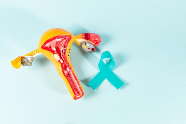 Teal ribbon Symbolic for cervical cancer ovarian cancer gynecological cancer and PCOS