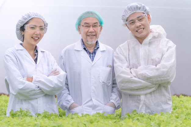 Team Aziatische wetenschapper die staat bij sla plantaardige hydrocultuur in laboratoriummedewerker die zich voorbereidt om te oogsten