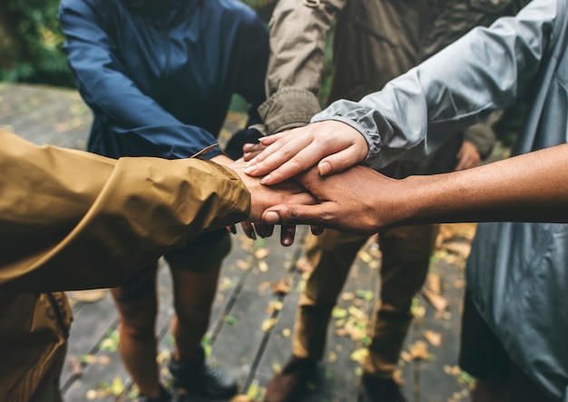 Photo team building outdoor in the forest