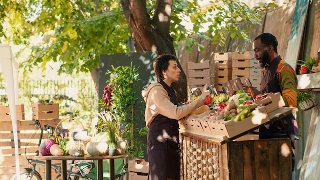 Team of diverse sellers giving box with natural fruits and veggies to clients, selling homegrown produce at local market stand. Business owners helping customers with products. Tripod shot.