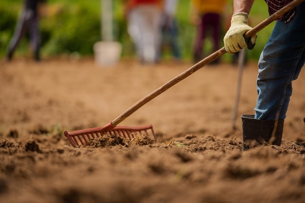 Team of farmers are working on an agricultural fields