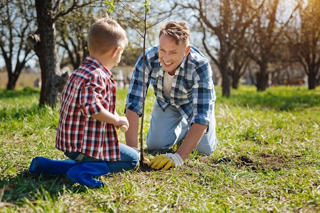Team di padre e figlio che sorridono ampiamente mentre pianta un nuovo albero da frutto in un cortile in primavera