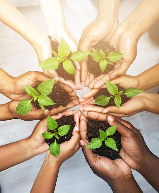 team hands or circle with plants for earth day or environment sustainability and diversity in ecology group people or herbs in above for accountability in nature cooperation for carbon footprint