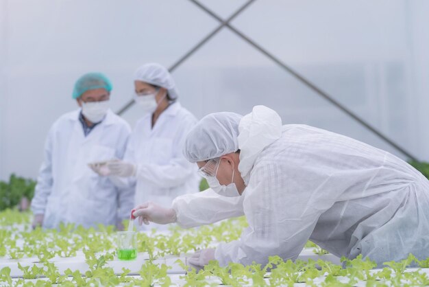 Team Scientist analyzing plants on vegetable harvest tray. Hydroponics process at laboratory. Agricultural Engineers Test Plants Health In Industrial Greenhouse. woman holding tablet and checking.