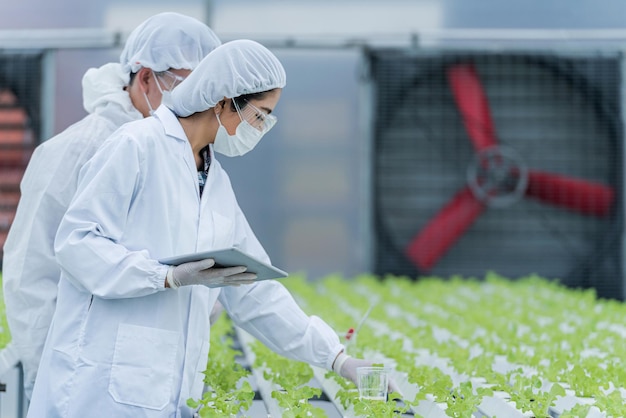 팀 과학자는 야채 수확 트레이에 있는 식물을 분석합니다. 실험실에서 수경법 과정. 농업 엔지니어는 산업 온실에서 식물 건강을 테스트합니다. 태블릿을 들고 확인 하는 여자.