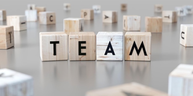 Team word on wooden blocks 3D illustration