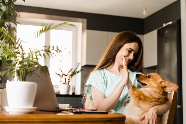 집에서 Welsh Corgi Pembroke와 팀워크 팀워크 걸 손은 집에서 노트북으로 직장에서 5마리의 Corgi 개를 제공합니다. 동료 및 가족과 온라인 커뮤니케이션