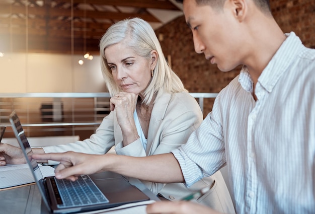 Teamcollega's en zakenmensen die op laptop wijzen en zakelijk voorstel of idee bespreken in een café tijdens lunchvergadering Twee ondernemers praten over opstarten en planningsstrategie