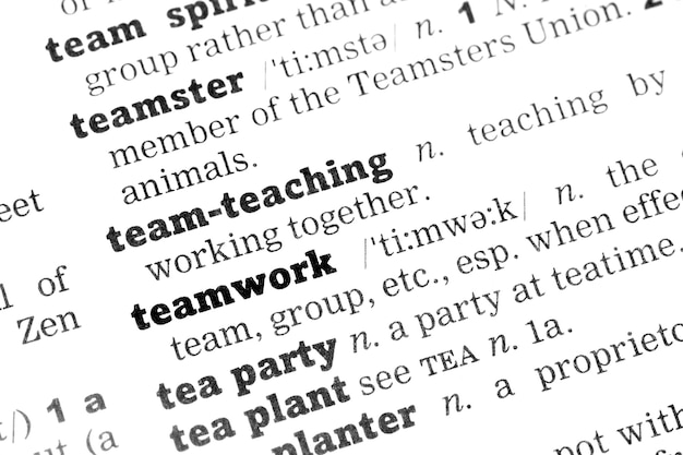 Teamwork Dictionary Definition